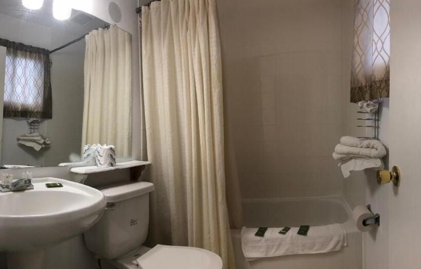 스탠다드 룸 킹사이즈 침대, Guest Inn Motel