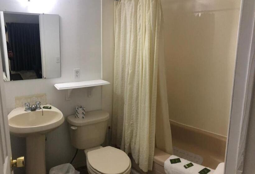 스탠다드 스튜디오, Guest Inn Motel