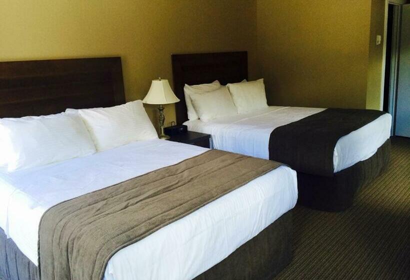 スタンダードルーム, A Good Nite S Rest Bed And Breakfast