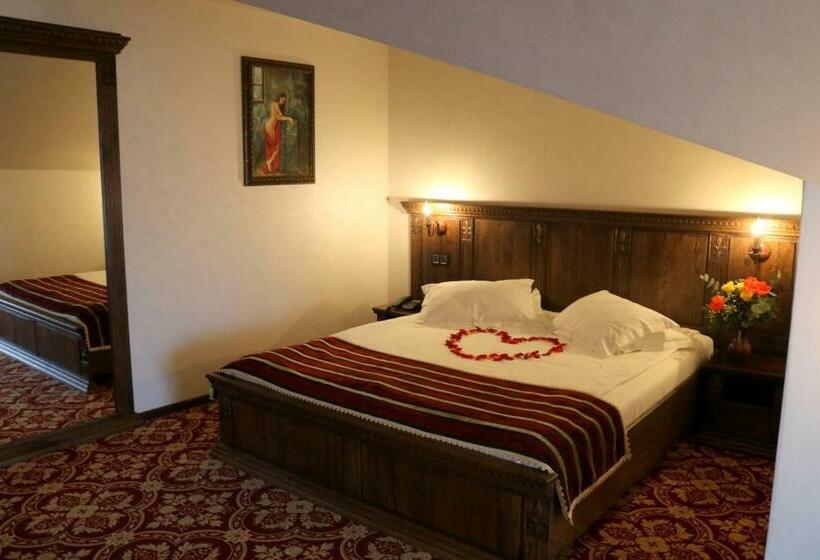 דירת חדר עם טרסה, Castel Transilvania