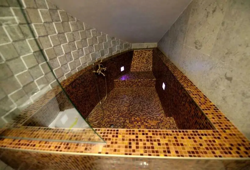 テラス付き1ベッドルームアパートメント, Castel Transilvania