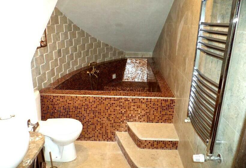 דירת חדר עם טרסה, Castel Transilvania