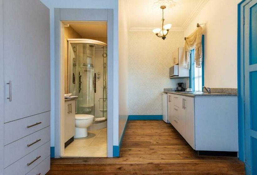 غرفة قياسية فردية, Del Parque Hotel & Suites