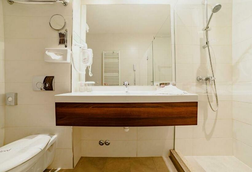 חדר סטנדרט, Radsor