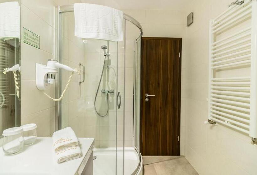 חדר סטנדרט, Radsor