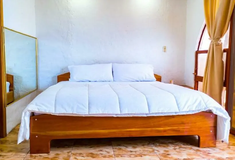 オーシャンビューのスタンダードシングルルーム, Royal Galápagos Inn
