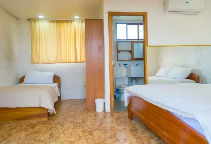 オーシャンビュースタンダードルームバルコニー付き, Royal Galápagos Inn