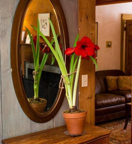 Стандартный Номер Кровать Кинг, The Old Inn On The Green