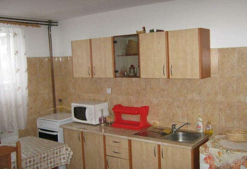 Номер Стандарт, Pensiunea Luminita