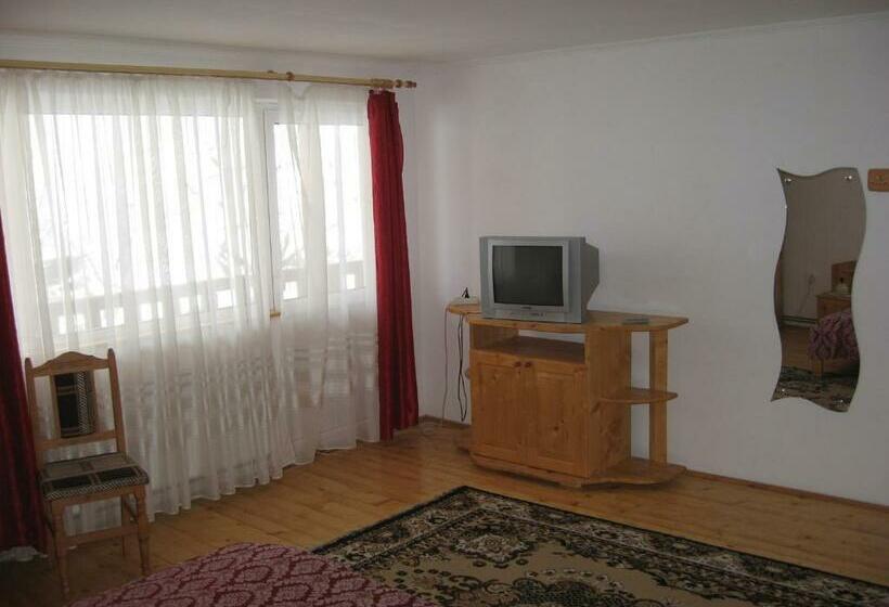 Номер Стандарт, Pensiunea Luminita