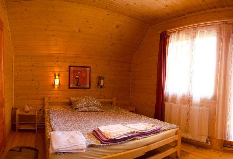 テラス付きスタンダードルーム, Pensiunea Moldovan