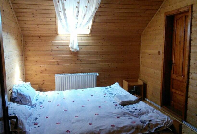 スタンダードルーム, Pensiunea Moldovan