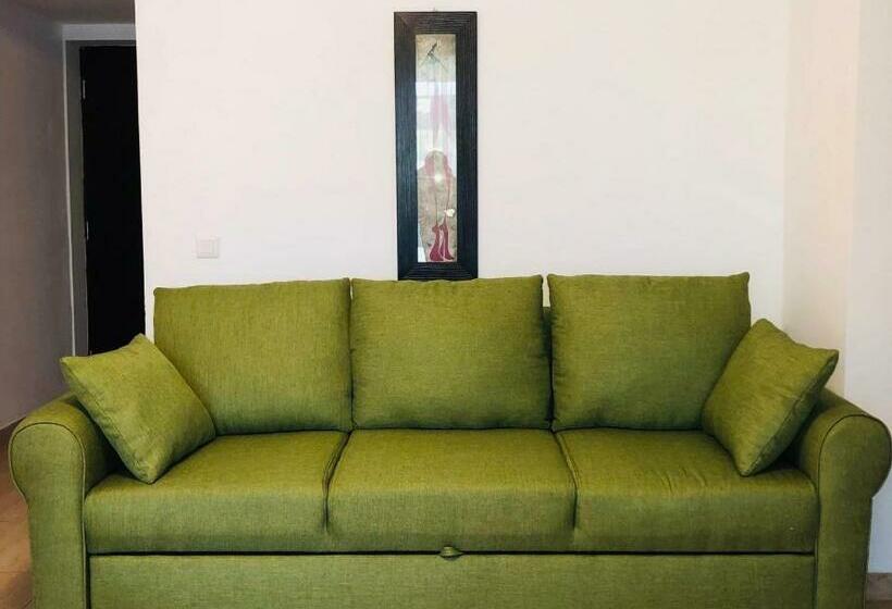 豪华房间, Academy