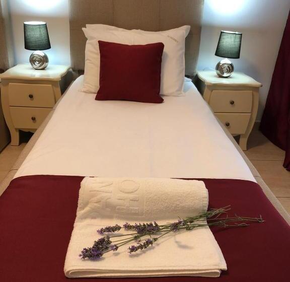 标准房带园景, Academy