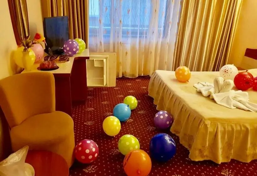 Camera Standard, Havana