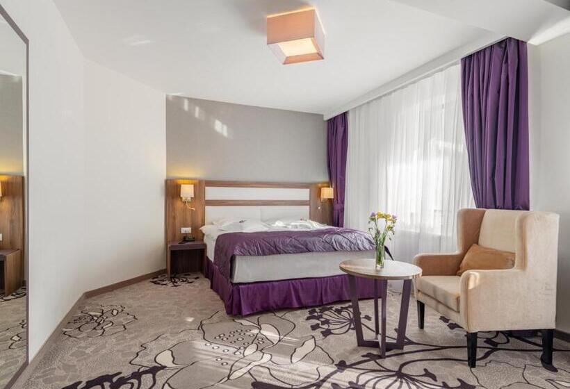 اتاق استاندارد با بالکن, Miruna   New Belvedere