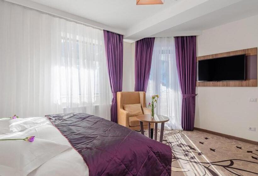 Standard Room, Miruna   New Belvedere