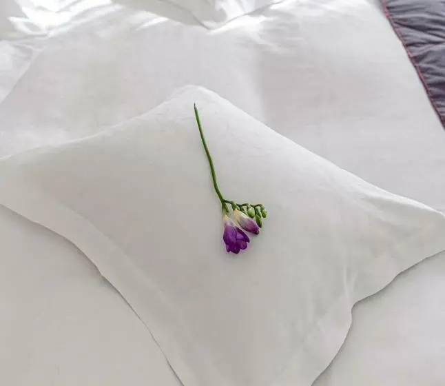 Deluxe Room, Miruna New Belvedere