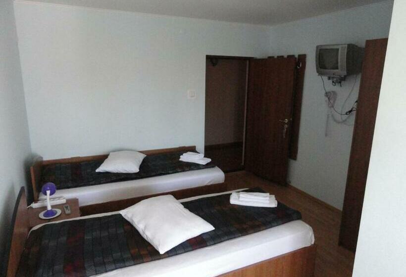 스탠다드 룸, Pensiune Restaurant Avangarde