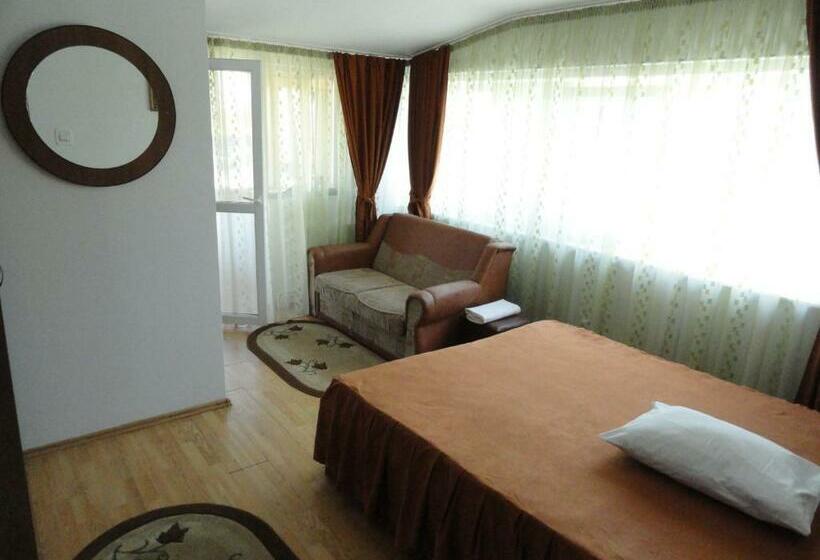 스탠다드 룸, Pensiune Restaurant Avangarde