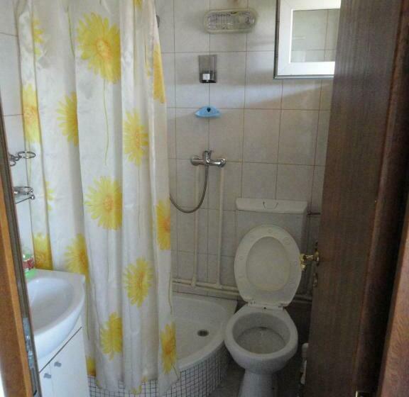 스탠다드 룸, Pensiune Restaurant Avangarde