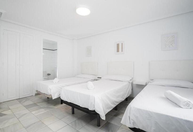 标准三人间, Hostal Alicia