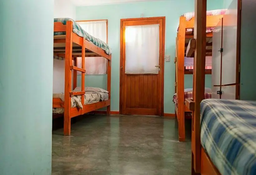 اتاق استاندارد چهار تخته, Hostel Los Cormoranes