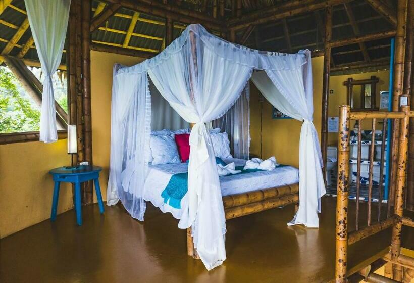 Chambre Standard, Minca Ecohabs