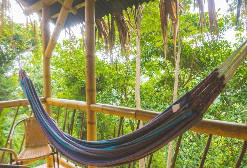 Chambre Standard, Minca Ecohabs