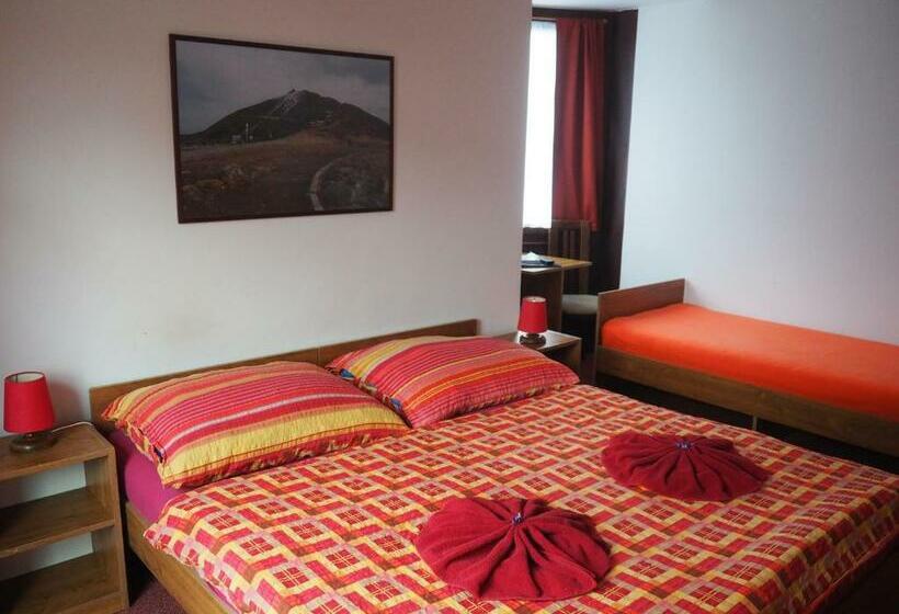 스탠다드 트리플 룸, Pension Borůvka