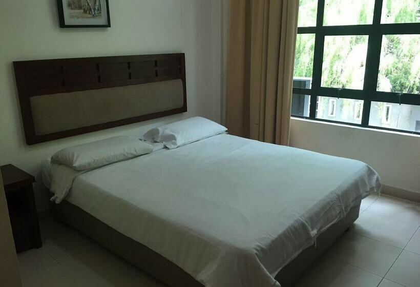 ファミリールーム, Sutera