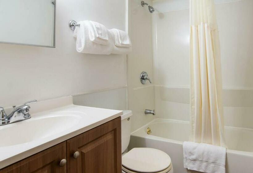 غرفه قياسيه سريرين مزدوجين, Knights Inn Amsterdam