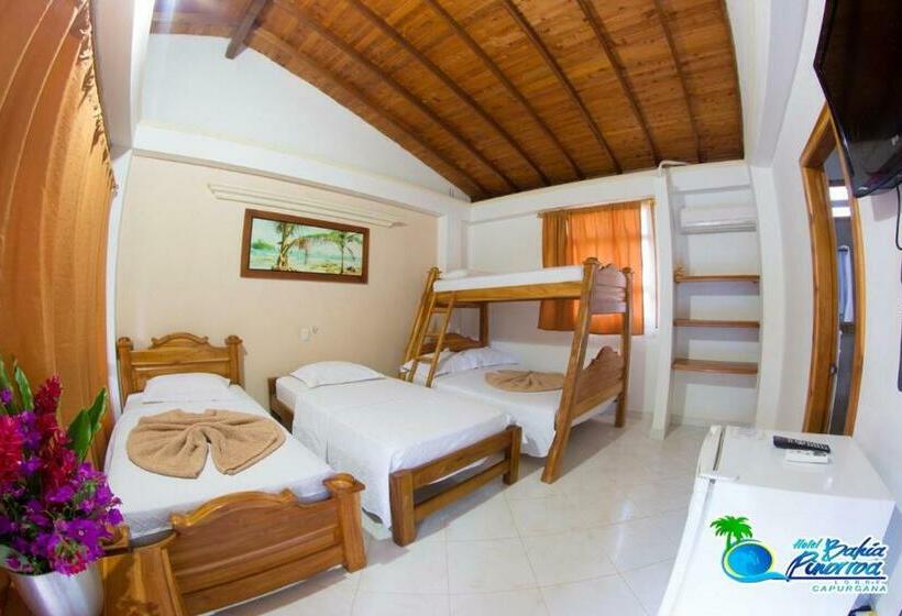 スタンダードルーム, Bahia Pinorroa