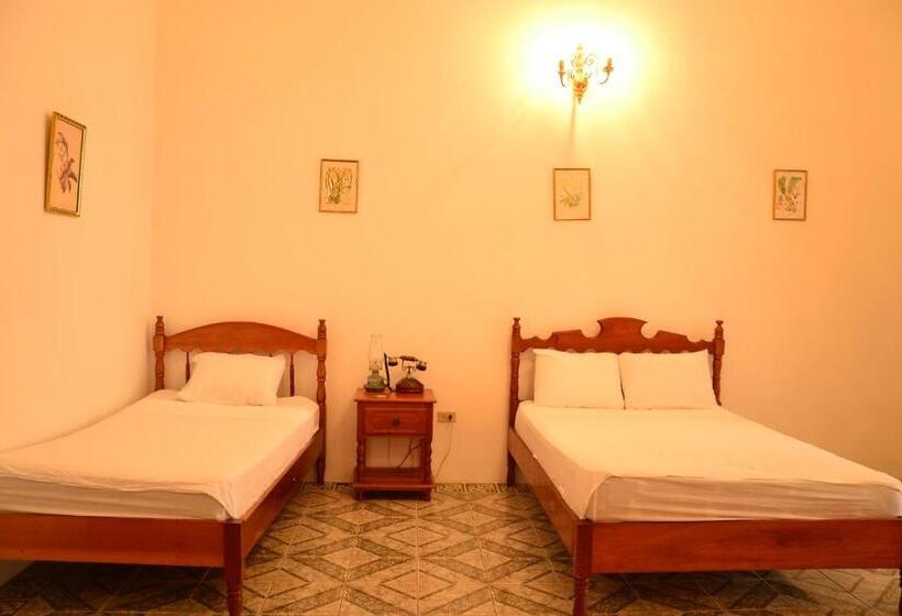 اتاق استاندارد, Casa Morey