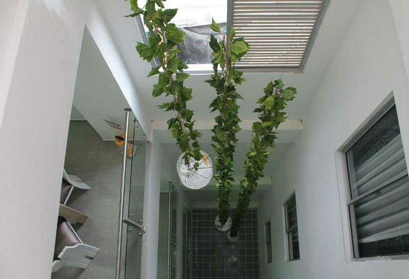 غرفة قياسية, Guadalupe Plaza