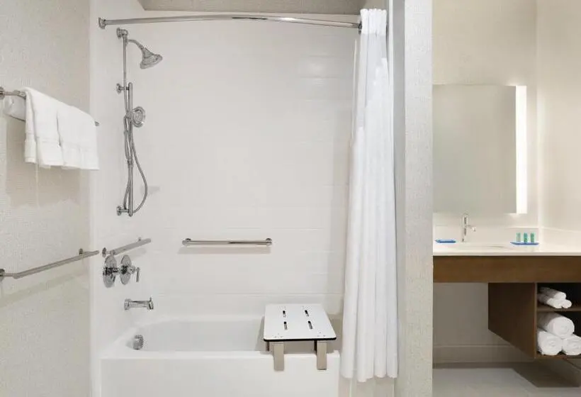 身障者適用キングサイズベッドルーム, Holiday Inn Express & Suites   Mcallen   Medical Center Area, An Ihg