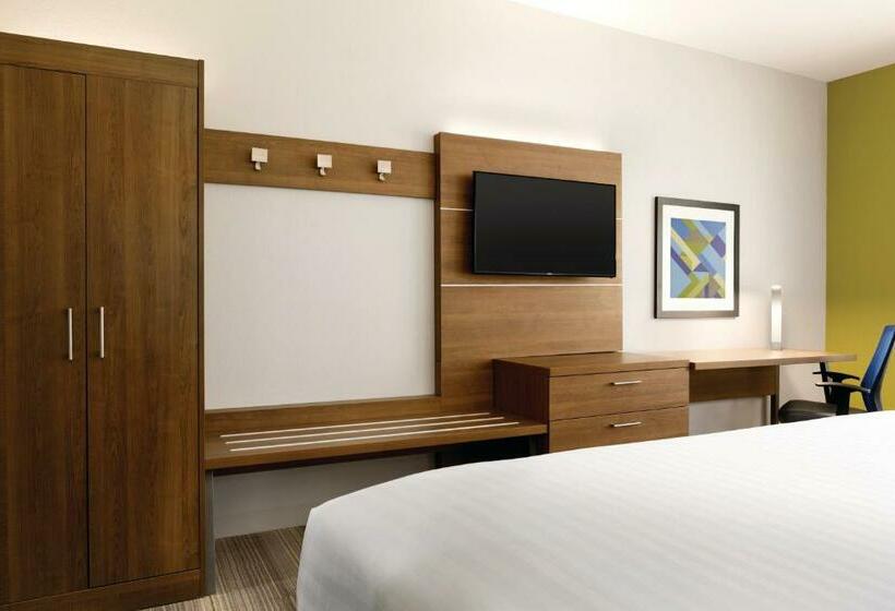 اتاق استاندارد, Holiday Inn Express & Suites Mcallen Medical Center Area, An Ihg