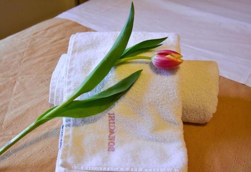 غرفة قياسية ثلاثية, Iridanos