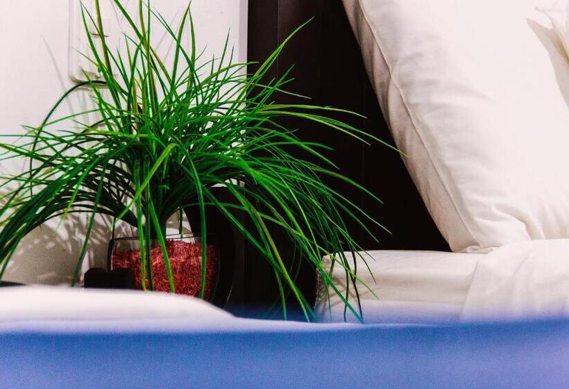 חדר סטנדרט לשלושה, La Ciudad