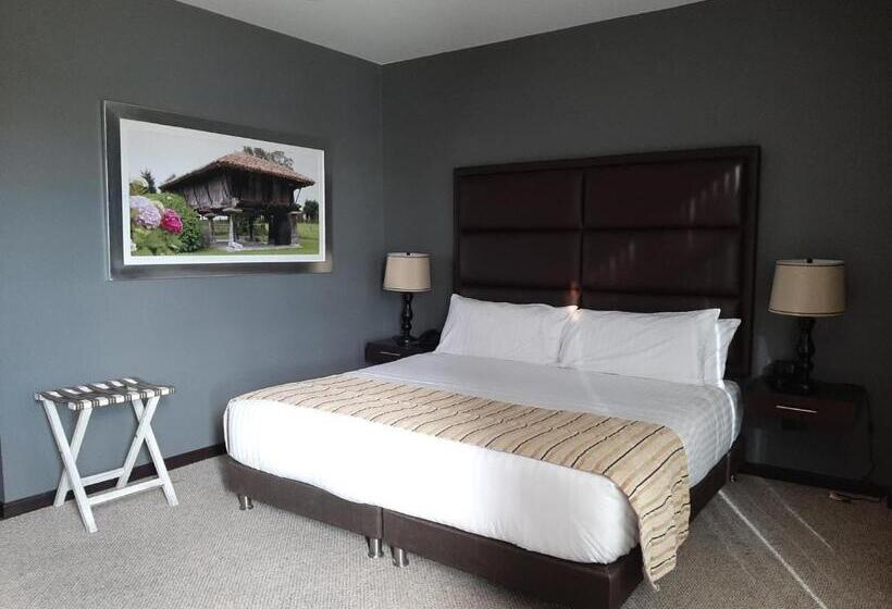 Номер Superior Кровать Кинг, Pontevedra Hotel Boutique