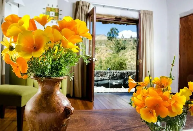 Standard Neljän Hengen Huone, Colca Lodge Spa & Hot Springs