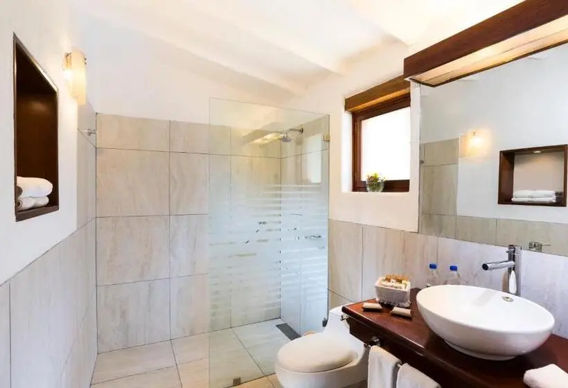 Standard Neljän Hengen Huone, Colca Lodge Spa & Hot Springs