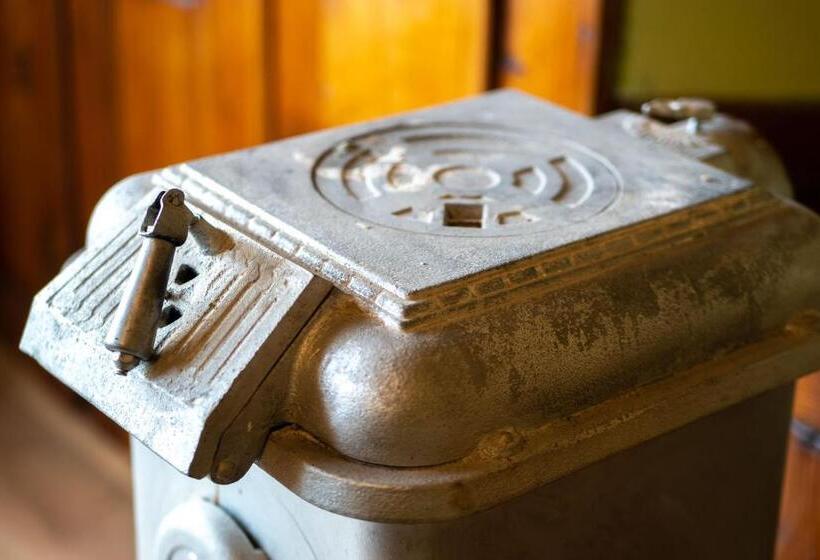 اتاق خانوادگی با سرویس بهداشتی مشترک, Theatre Old Town House