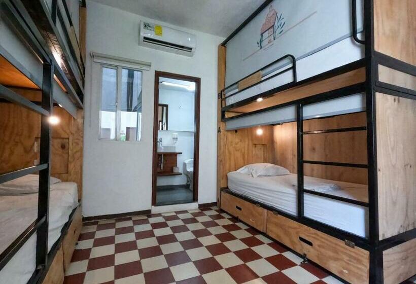 ルームシェアのワンベッド, Masaya Santa Marta