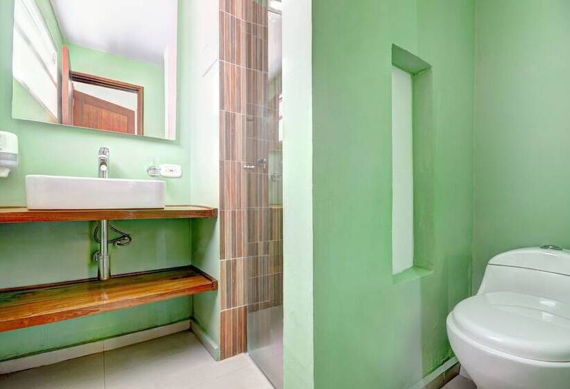 スタンダードルーム, Masaya Santa Marta