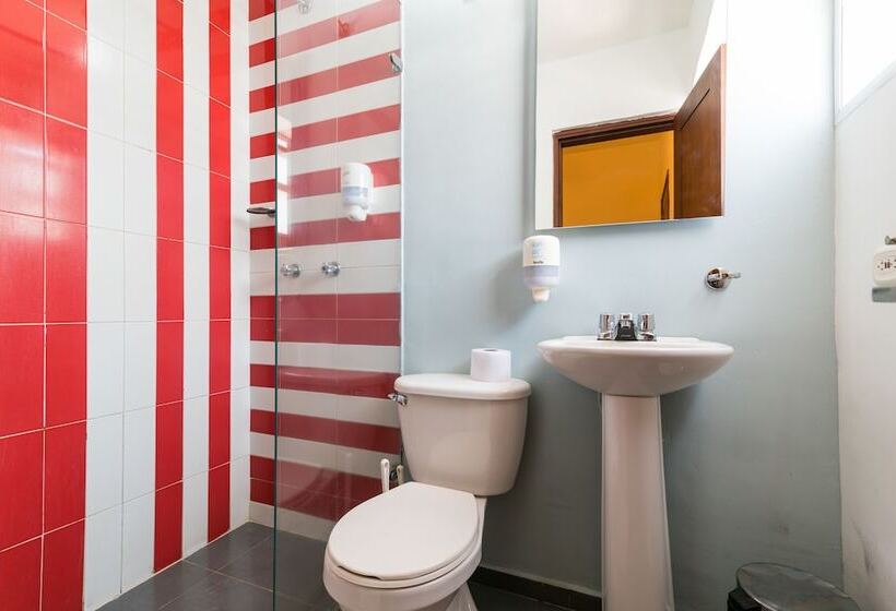 スタンダードルーム, Masaya Santa Marta