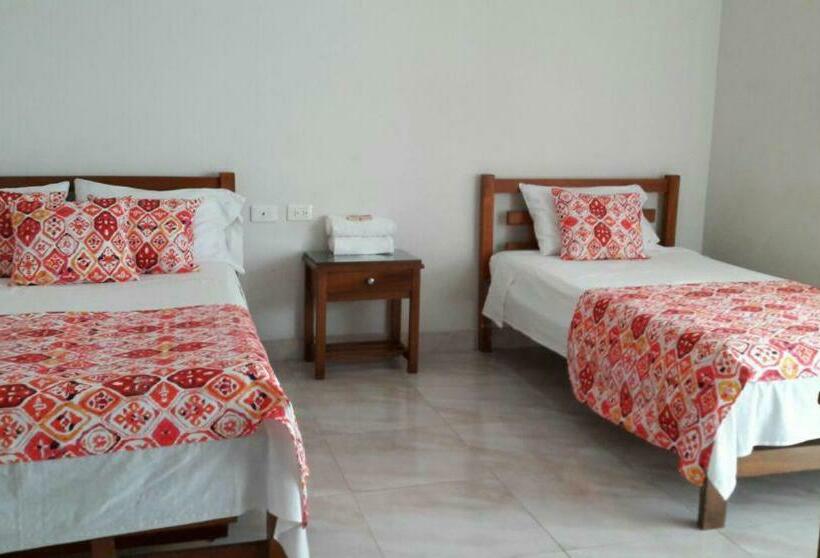 标准三人间, Orquídea Neiva