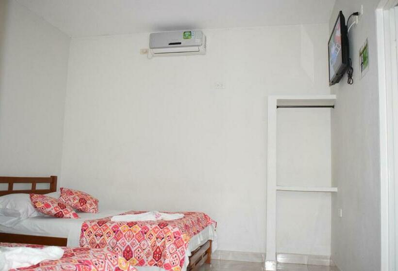 标准间, Orquídea Neiva