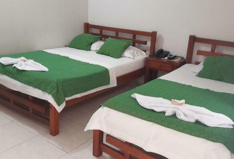 标准三人间, Orquídea Neiva