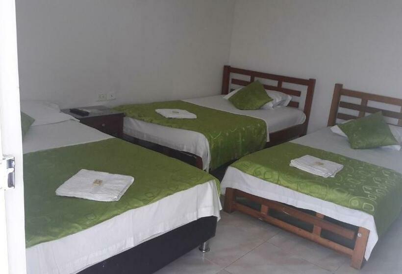 标准三人间, Orquídea Neiva